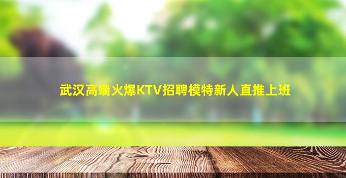 武汉高端火爆KTV招聘模特新人直推上班